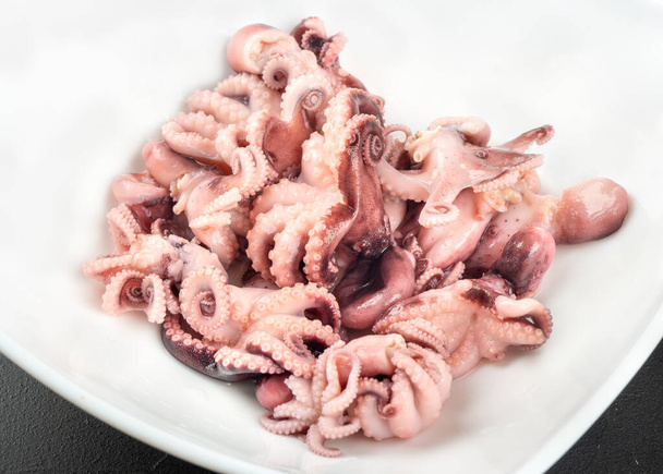 Petite pieuvre marinée dans une assiette blanche gros plan - Photo, image