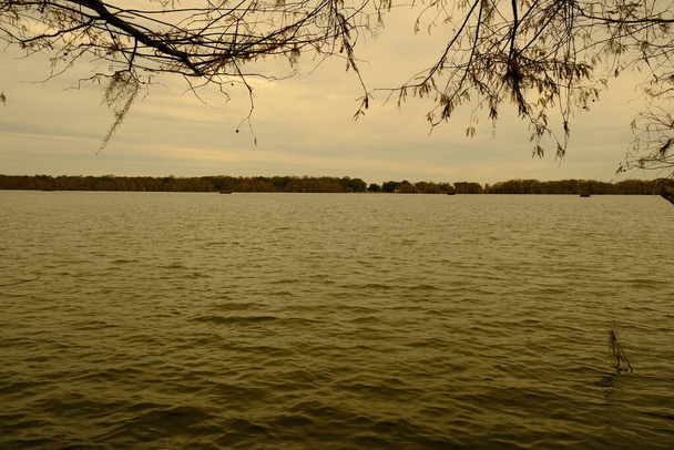 Lake Martin liegt in Louisiana. Ich komme oft zum Fischen und Wandern hierher. - Foto, Bild