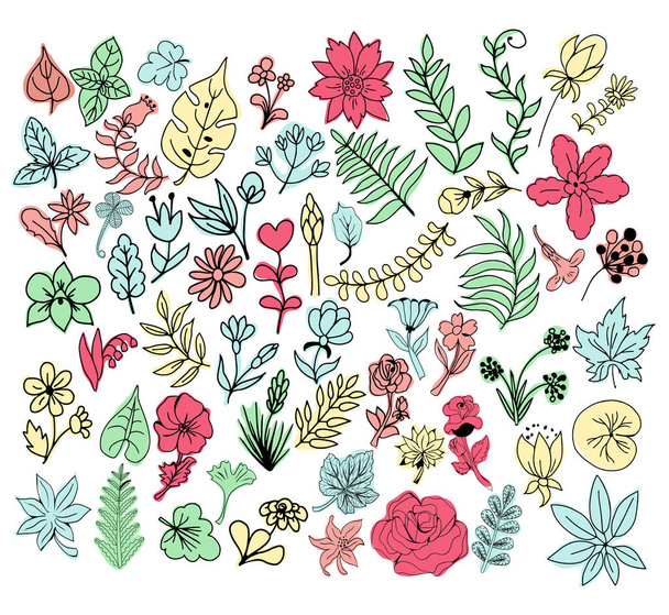 Vector doodle hand drawn herbs and flowers, floral elements. Collection of Vintage botanical elements  for wedding design elements, invitation cards, frames, borders - Вектор,изображение