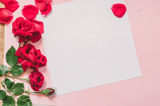 Valentine's Day. Frame made of rose flowers confetti on white background. Valentines day background. Flat lay, top view, copy space. - Photo, Image
