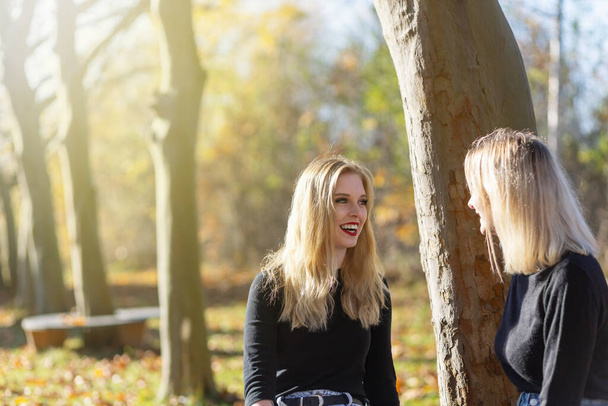 Couple of smiling attractive young girls talking together in autumn park. Horizontally.  - Фото, изображение