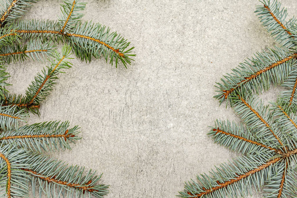 Rand van de kerstboom takken op grijze stenen achtergrond. Nieuwjaarskaartconcept, bovenaanzicht - Foto, afbeelding