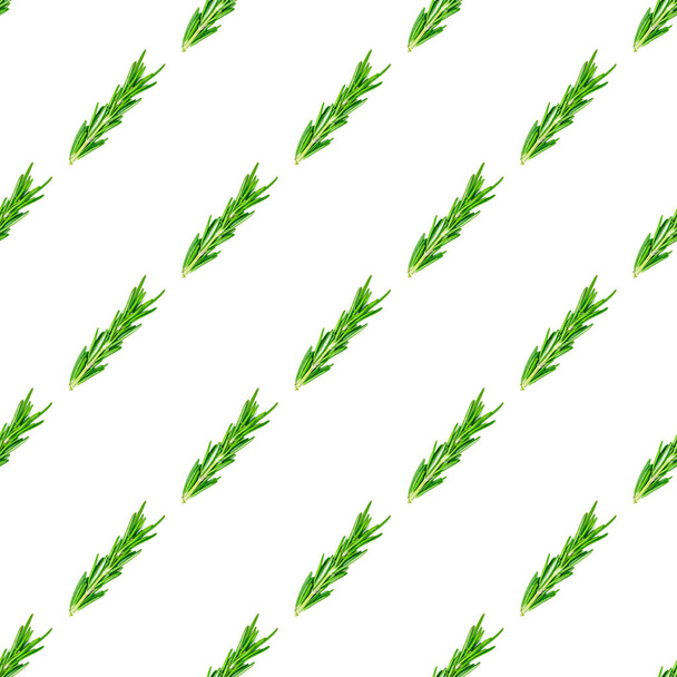 feuilles de romarin vert frais, brindilles et branches motif sans couture sur fond blanc. - Photo, image