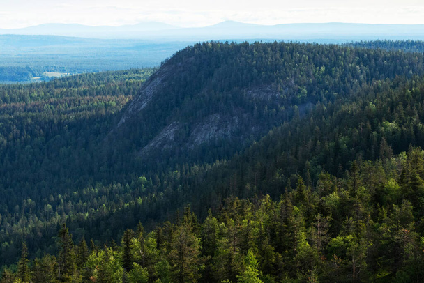 View of summery taiga forest with hills, mountains and slight mist shot from Valtavaara hill near Kuusamo, Finnish nature, Northern Europe. - Foto, Imagen