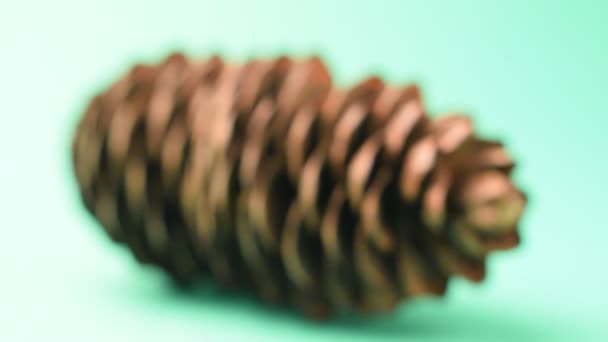 Close up on pine cone - Footage, Video