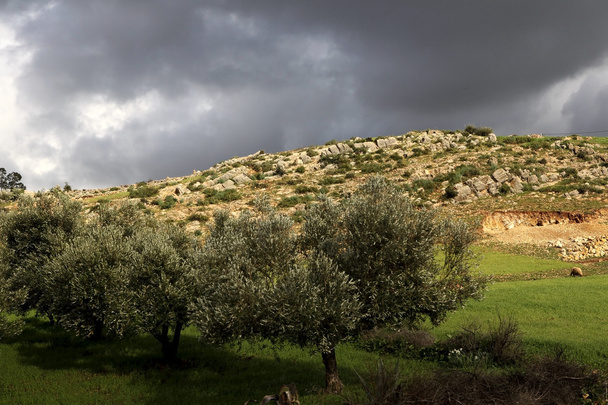 Hermoso paisaje en Ifrane
 - Foto, Imagen