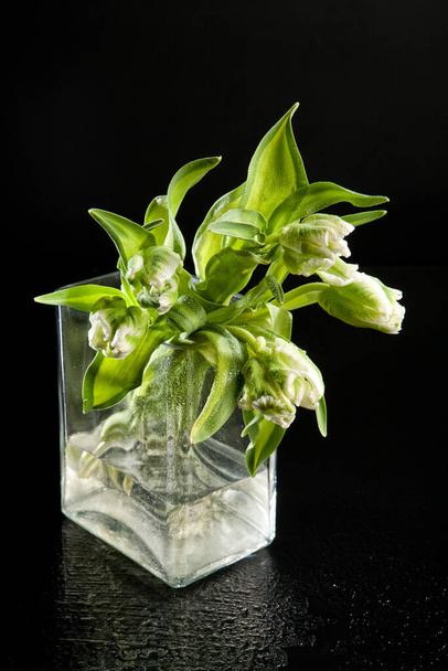 Still life with flowers on a studio background - Photo, Image