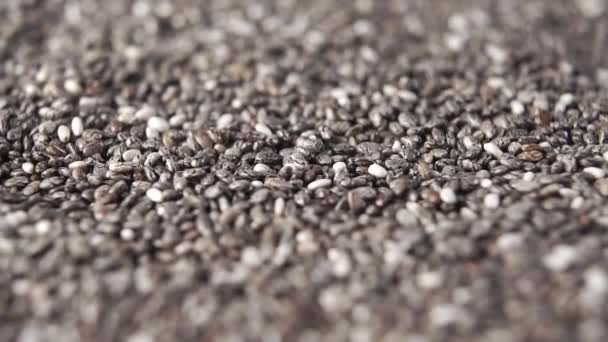 Falling chia seeds close-up with rotation. Macro shot. Slow motion - Materiaali, video