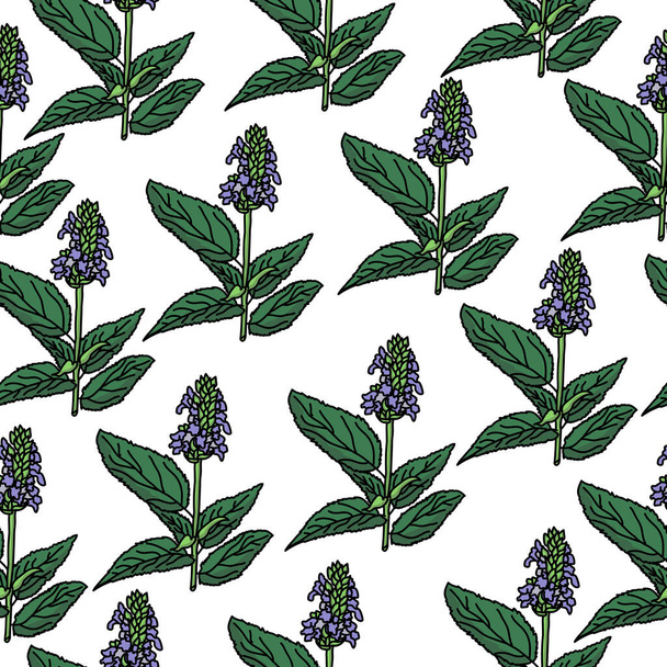 Bloeiende chia plant naadloos patroon, plant met brede groene bladeren en kleine paarse bloemen, vector illustratie voor heerschappij - Vector, afbeelding