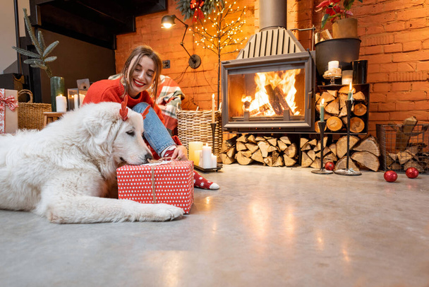 Donna con cane durante le vacanze di Capodanno a casa - Foto, immagini