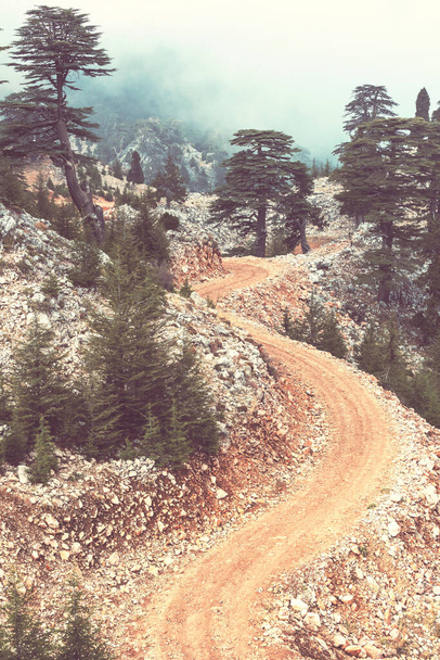 Сезон осені в горах Какар в районі Чорного моря Туреччини. Прекрасний гірський краєвид. - Фото, зображення