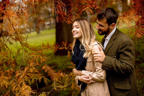Handsome young couple in the autumn park - Foto, afbeelding