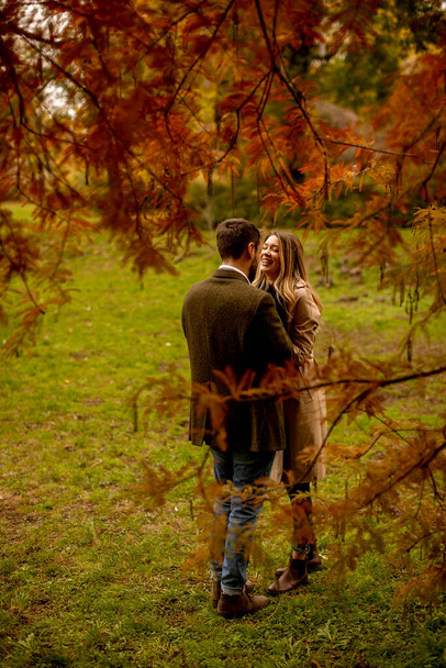 Handsome young couple in the autumn park - Photo, Image