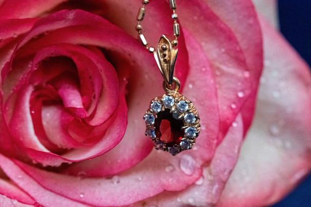 Light pink rose with the gold jewel on blue velvet. water drops on the petals - Fotografie, Obrázek