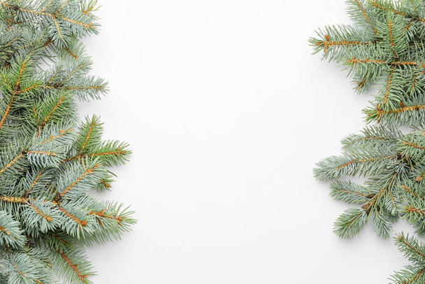 Vánoční strom větve na bílém pozadí - Fotografie, Obrázek