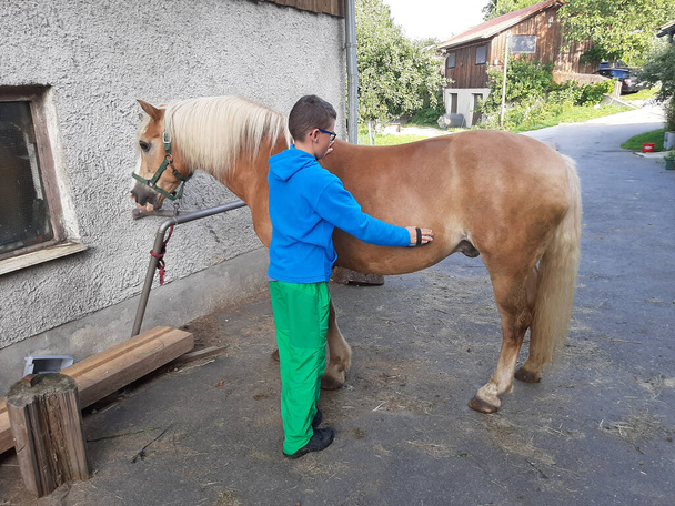 Jongen die een paard klaarmaakt voor de stal - Foto, afbeelding
