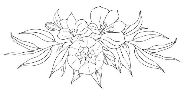 Peony flowers and leaves, tattoo compositions. Black linear illustration isolated on a white background. - Vecteur, image