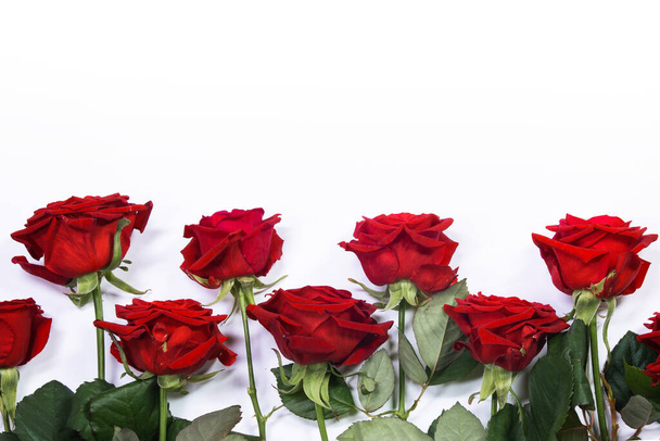 Red roses border frame isolated on white background, Valentine's Day - Фото, изображение
