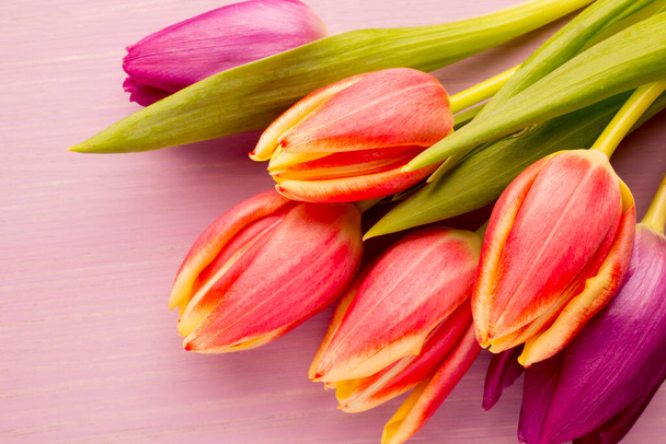 Tulips on a wooden surface. Studio photography. - Photo, image
