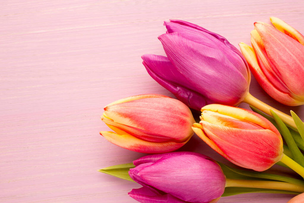 Tulips on a wooden surface. Studio photography. - Фото, изображение
