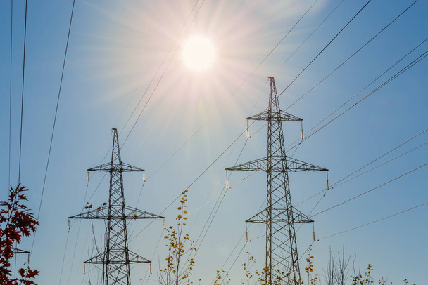 Silhuetas de torres de transmissão de aço treliçada de linhas elétricas aéreas sobre os galhos das árvores contra o céu claro na luz solar traseira - Foto, Imagem