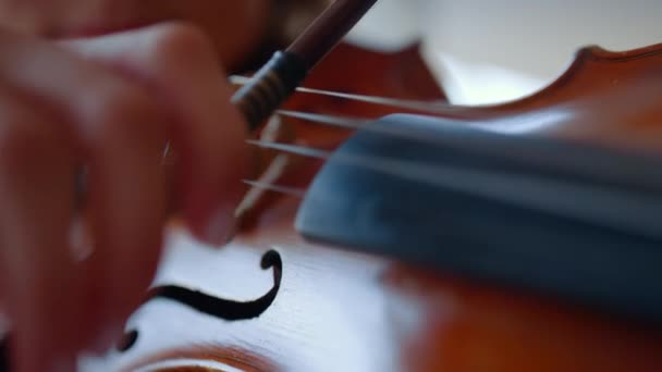 バイオリンを弾く若い女性の手を閉じます。十代の女の子使用バイオリン弓 - 映像、動画