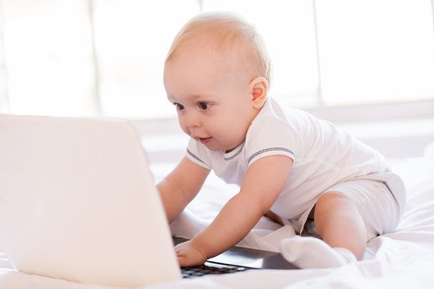 Baby holding hands on laptop keyboard - Foto, afbeelding