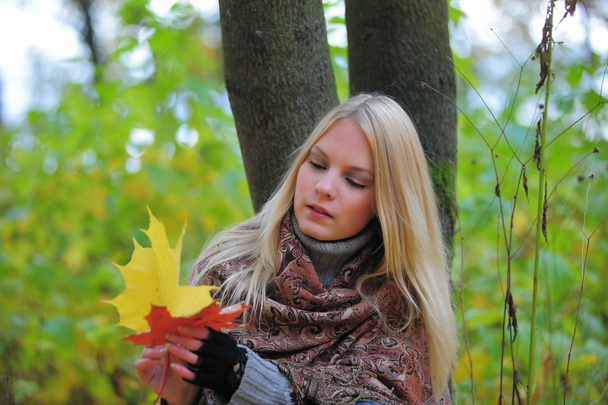Girl with autumn maple leaves - Photo, Image