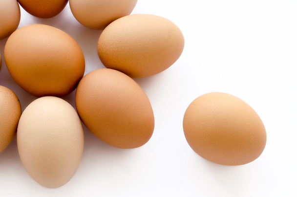 eggs - Photo, Image