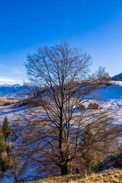 Hermoso paisaje de montaña en las montañas de los Cárpatos Rumania en la transición de otoño a invierno. - Foto, imagen