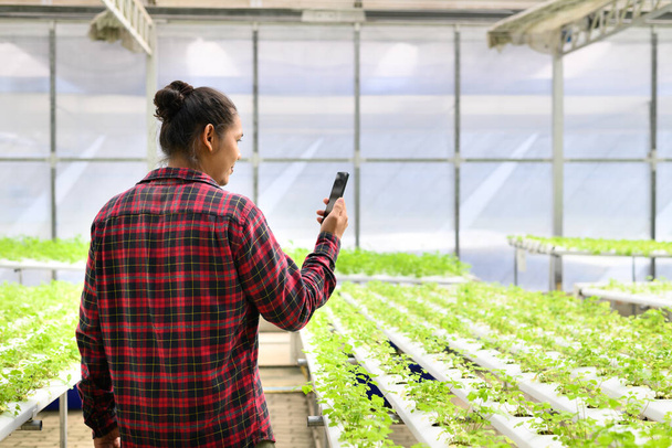 Jovem agricultor asiático usando smartphone na fazenda de hidroponia vegetal - Foto, Imagem