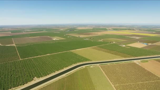 Antenni viljelykasvien tilkkutäkki pellot kasvaa ruokaa tuottaa Kaliforniassa - Materiaali, video