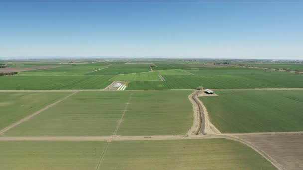 Aerial of patchwork organic crops fields San Francisco - Filmati, video
