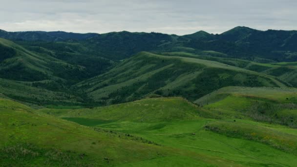 Αεροφωτογραφία αγροτικές εύφορες χορτολιβαδικές εκτάσεις Idaho ύπαιθρο ΗΠΑ - Πλάνα, βίντεο