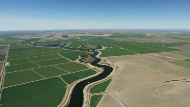 Aerial view crops growing patchwork fields California lowlands - Filmati, video