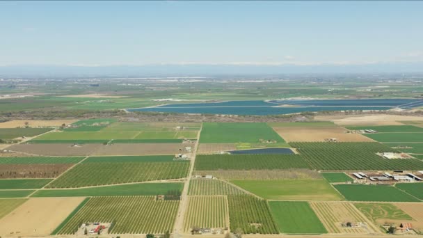 Aerial of patchwork crops scenery fresh products EUA - Filmagem, Vídeo
