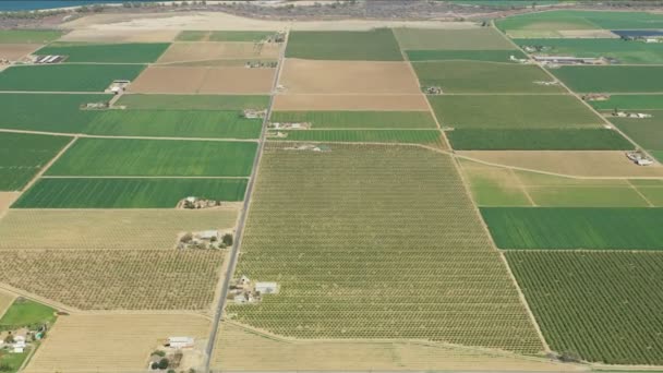Vista aérea retalhos culturas orgânicas crescendo paisagem América - Filmagem, Vídeo