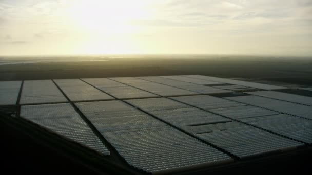 Légi kilátás lenyugvó nap Oxnard mezőgazdasági közösség Amerika - Felvétel, videó