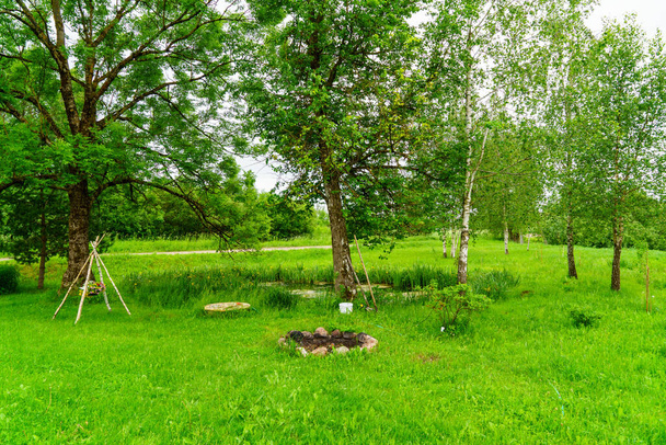 πράσινο καλοκαιρινό κήπο σκηνή στην ύπαιθρο με γρασίδι, δέντρα και ηλιοφάνεια με λουλούδια - Φωτογραφία, εικόνα