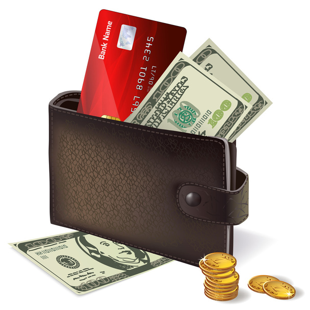 Billetera con billetes y monedas de tarjeta de crédito
 - Vector, imagen