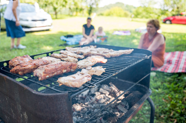 Delicious meat cooked on outdoor bbq stove in a park. - Photo, Image
