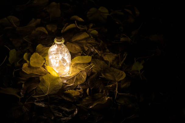 Hermosa vista de botella con luz por la noche en el jardín. Lámpara mágica poción de polvo de hadas en botella en el bosque. Disparo de larga exposición. Enfoque selectivo - Foto, Imagen