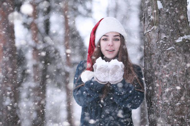 Öğleden sonra kar fırtınasında, bir kış parkındaki kız - Fotoğraf, Görsel