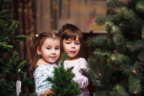 Little children rejoice at the approaching New Year and Christmas. Children with delight play around the Christmas tree. - Photo, Image