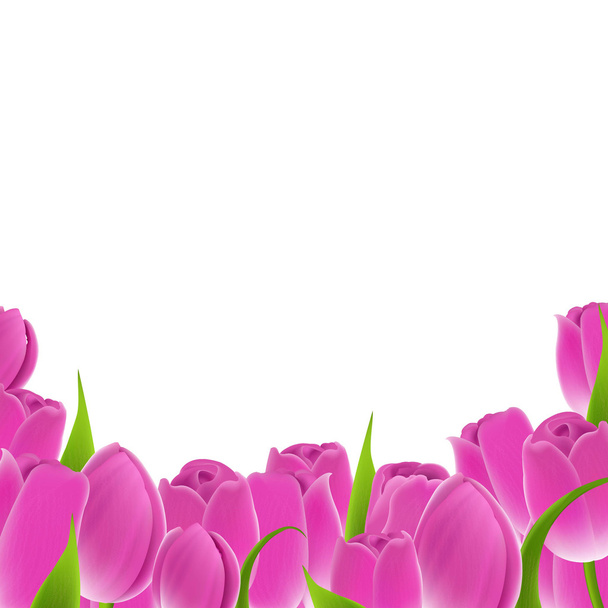 Frame Of Pink Tulips - Vector, Image