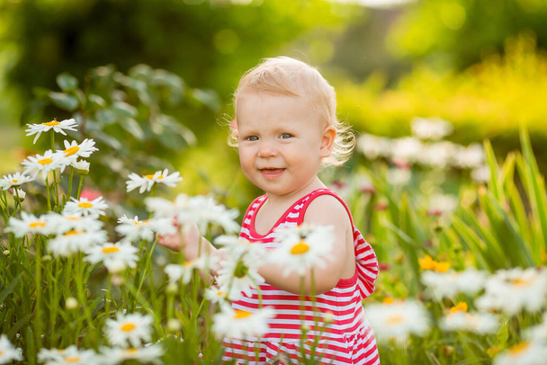 cute toddler girl surrounded with blooming daisies - Fotó, kép
