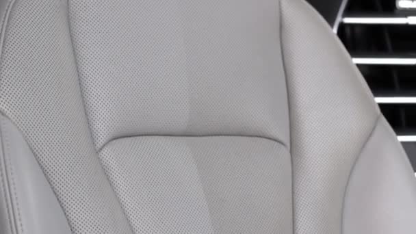 Wipe and polish leather seats from dust and dirt. Professional auto cleaning - Footage, Video