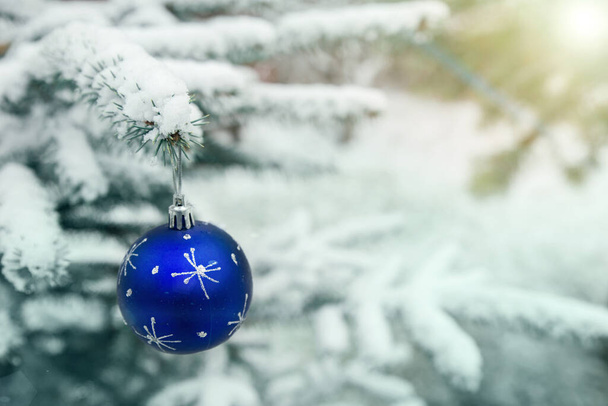 New Years decoration balls on a snowy branch. Christmas tree toy on the branches of spruce covered with snow. Blue shiny balloon toy on the new year tree. - Фото, зображення
