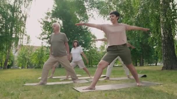 Amplio tiro de cuatro personas mayores activas de pie sobre esteras de yoga en la hierba en el parque y haciendo ejercicio de equilibrio con la ayuda de entrenador femenino de mediana edad - Metraje, vídeo