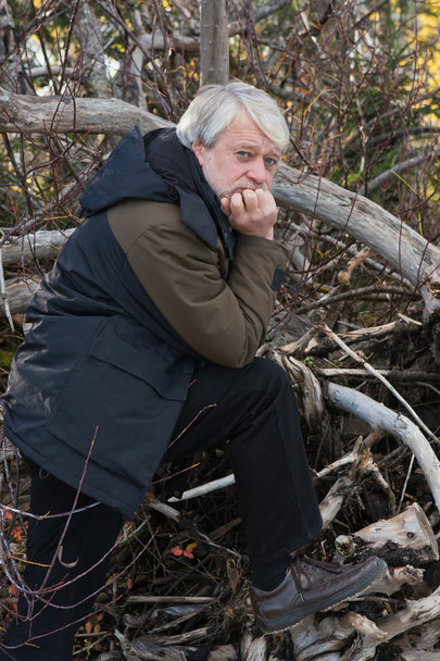 Middle-aged man in forest. - Photo, Image